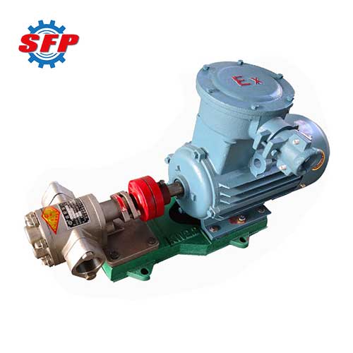 electric cooking oil pump